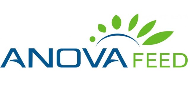 Logo AnovaFeed
